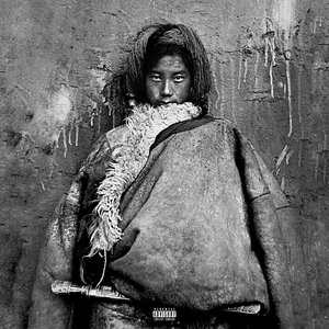 亚洲精品国产自在在线观看av
